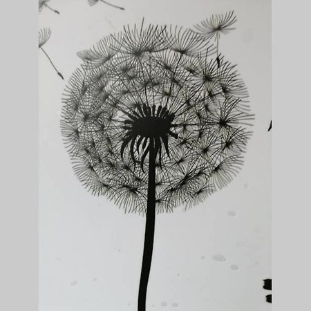 Ferienwohnung Pusteblume Mueddersheim Vettweiss المظهر الخارجي الصورة