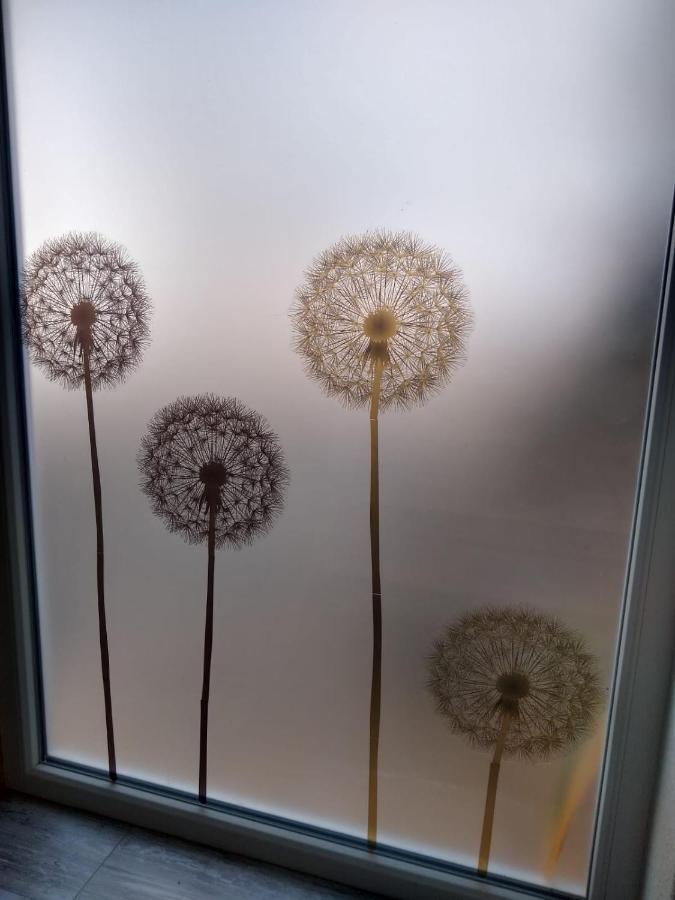 Ferienwohnung Pusteblume Mueddersheim Vettweiss المظهر الخارجي الصورة